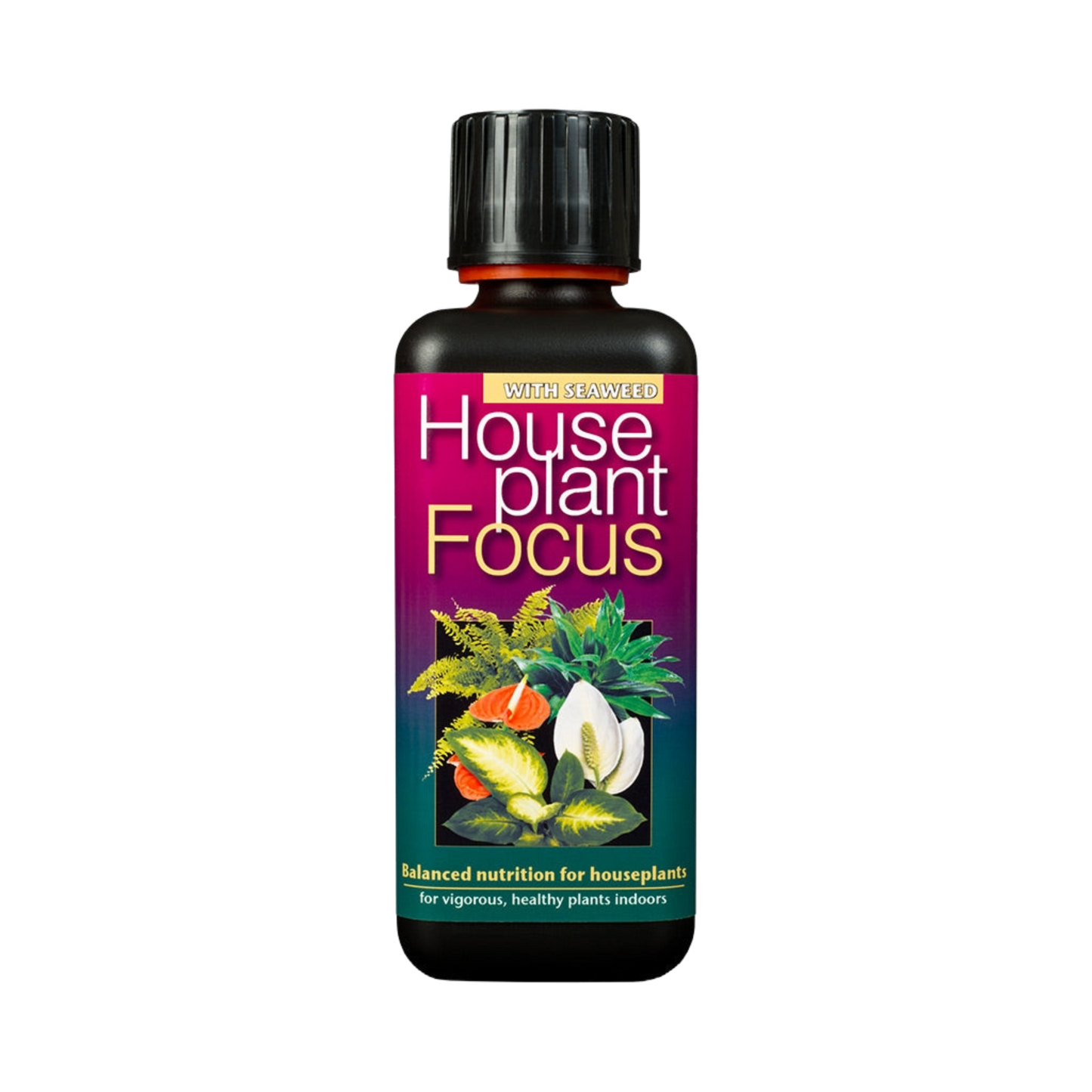 Houseplant Focus Fertiliser